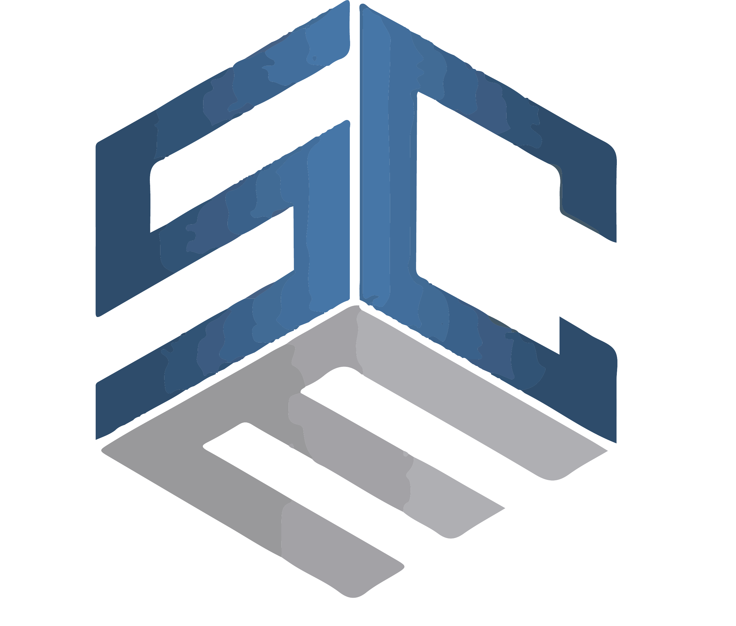 logo image